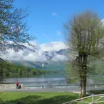 Zalokar *