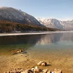 Zalokar *