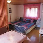 Apartment Zalokar