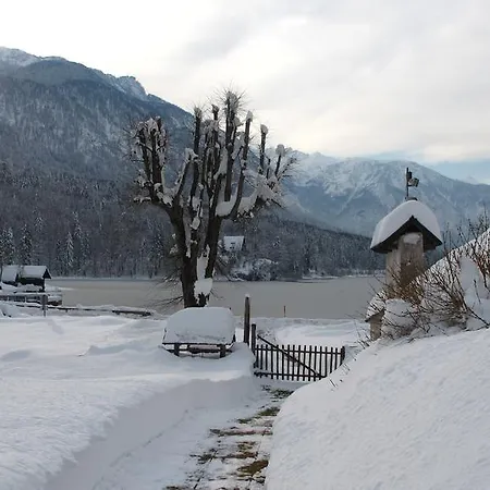 Apartamento Zalokar *