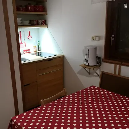 Apartment Zalokar