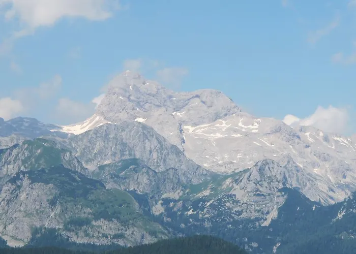 דירה Zalokar בוהין